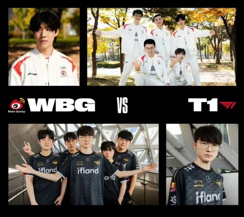 作者张女士 作者张女士